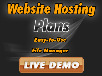 Website Hosting
